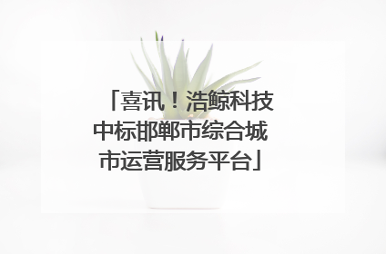 喜讯！浩鲸科技中标邯郸市综合城市运营服务平台