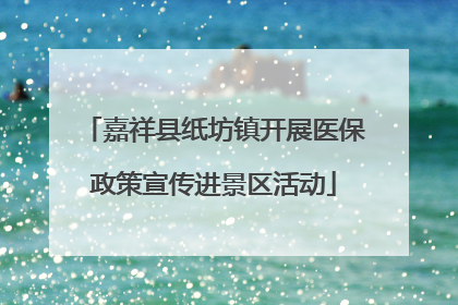 嘉祥县纸坊镇开展医保政策宣传进景区活动