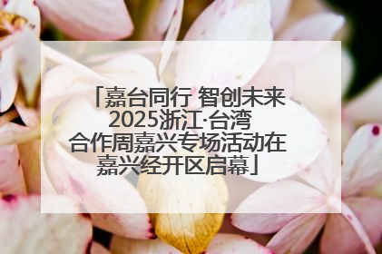嘉台同行 智创未来 2025浙江·台湾合作周嘉兴专场活动在嘉兴经开区启幕
