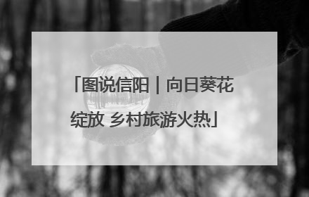 图说信阳｜向日葵花绽放 乡村旅游火热