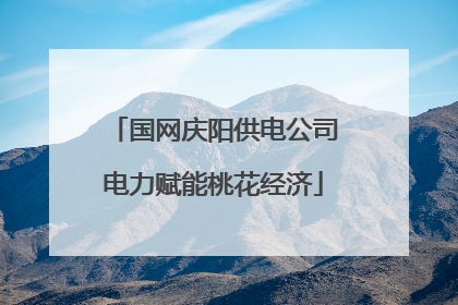 国网庆阳供电公司电力赋能桃花经济