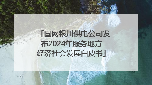 国网银川供电公司发布2024年服务地方经济社会发展白皮书