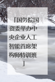 国务院国资委举办中央企业人工智能首席架构师特训班