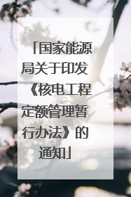国家能源局关于印发《核电工程定额管理暂行办法》的通知