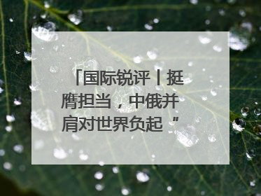 国际锐评丨挺膺担当，中俄并肩对世界负起“特殊责任”