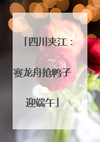 四川夹江：赛龙舟抢鸭子迎端午