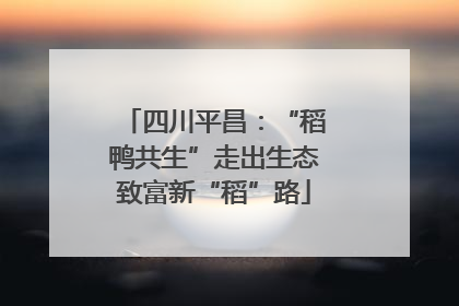 四川平昌：“稻鸭共生”走出生态致富新“稻”路