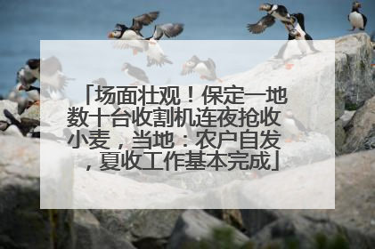 场面壮观！保定一地数十台收割机连夜抢收小麦，当地：农户自发，夏收工作基本完成