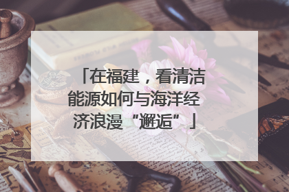 在福建，看清洁能源如何与海洋经济浪漫“邂逅”