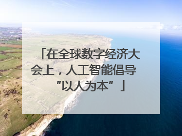 在全球数字经济大会上，人工智能倡导“以人为本”
