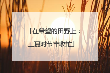 在希望的田野上：三夏时节丰收忙