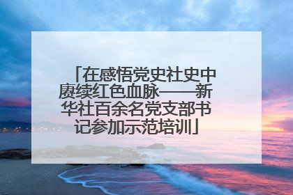 在感悟党史社史中赓续红色血脉——新华社百余名党支部书记参加示范培训