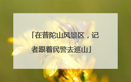 在普陀山风景区，记者跟着民警去巡山