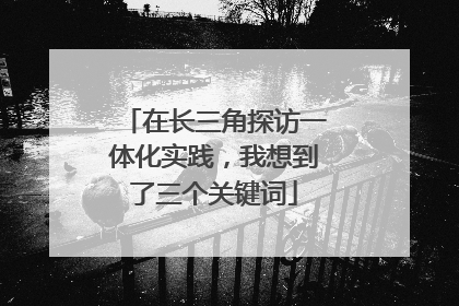 在长三角探访一体化实践，我想到了三个关键词