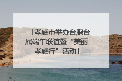 孝感市举办台胞台属端午联谊暨“美丽孝感行”活动