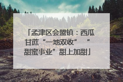 孟津区会盟镇：西瓜甘蔗“一地双收” “甜蜜事业”甜上加甜