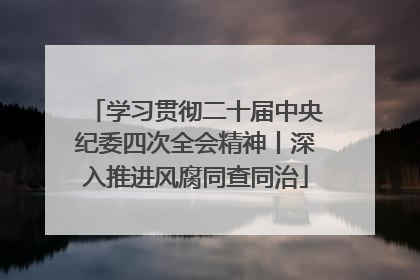 学习贯彻二十届中央纪委四次全会精神丨深入推进风腐同查同治
