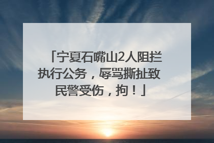 宁夏石嘴山2人阻拦执行公务，辱骂撕扯致民警受伤，拘！