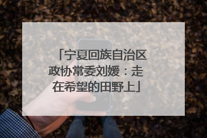 宁夏回族自治区政协常委刘媛：走在希望的田野上