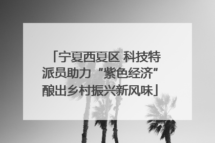 宁夏西夏区 科技特派员助力“紫色经济”酿出乡村振兴新风味