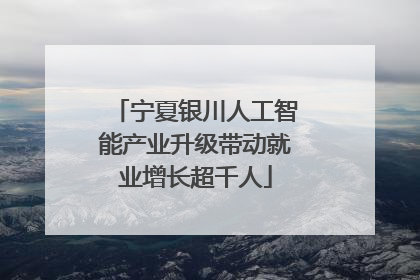 宁夏银川人工智能产业升级带动就业增长超千人