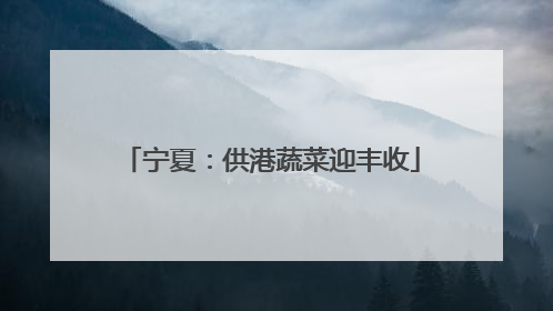宁夏：供港蔬菜迎丰收