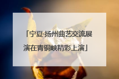 宁夏·扬州曲艺交流展演在青铜峡精彩上演