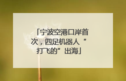 宁波空港口岸首次，四足机器人“打飞的”出海