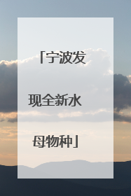 宁波发现全新水母物种