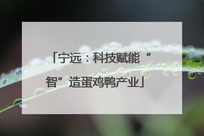 宁远：科技赋能“智”造蛋鸡鸭产业