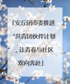 安丘团市委推进“共青团伙伴计划”，让青春与社区双向奔赴