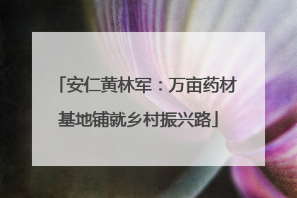 安仁黄林军：万亩药材基地铺就乡村振兴路
