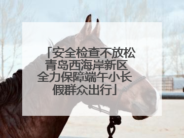 安全检查不放松 青岛西海岸新区全力保障端午小长假群众出行