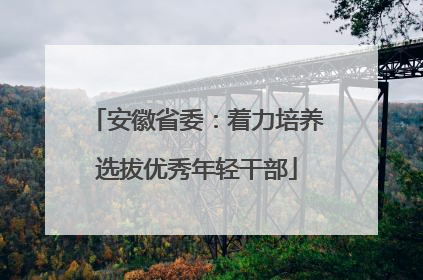 安徽省委：着力培养选拔优秀年轻干部