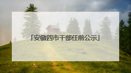 安徽四市干部任前公示