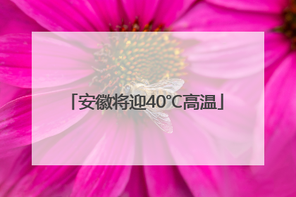 安徽将迎40℃高温