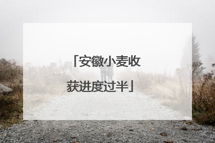 安徽小麦收获进度过半
