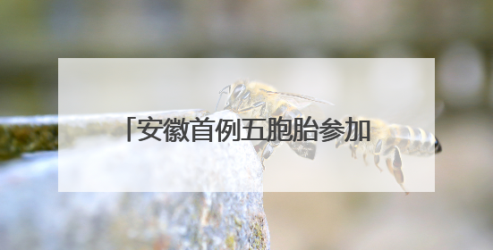 安徽首例五胞胎参加高考，校长：高中免除相关费用超50万元