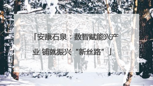 安康石泉：数智赋能兴产业 铺就振兴“新丝路”