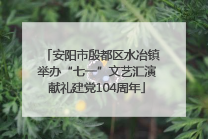 安阳市殷都区水冶镇举办“七一”文艺汇演献礼建党104周年