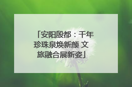 安阳殷都：千年珍珠泉焕新颜 文旅融合展新姿