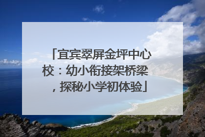 宜宾翠屏金坪中心校：幼小衔接架桥梁，探秘小学初体验