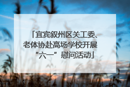 宜宾叙州区关工委、老体协赴高场学校开展“六一”慰问活动