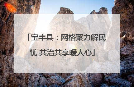 宝丰县：网格聚力解民忧 共治共享暖人心