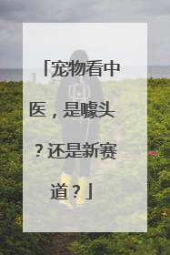 宠物看中医，是噱头？还是新赛道？
