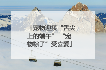 宠物迎接“舌尖上的端午” “宠物粽子”受喜爱