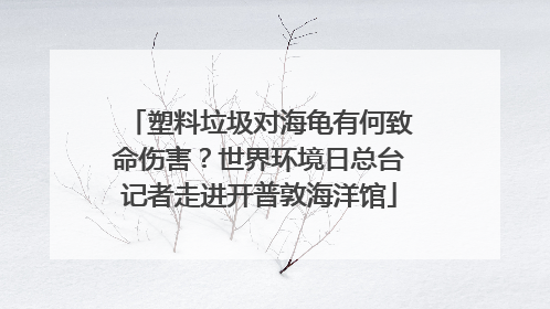 塑料垃圾对海龟有何致命伤害？世界环境日总台记者走进开普敦海洋馆