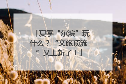 夏季“尔滨”玩什么？“文旅顶流”又上新了！