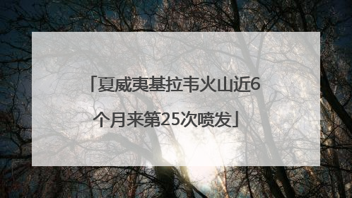 夏威夷基拉韦火山近6个月来第25次喷发