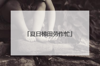夏日梯田劳作忙